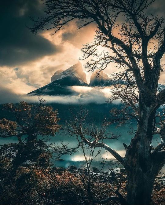 不曾去过倒悬山